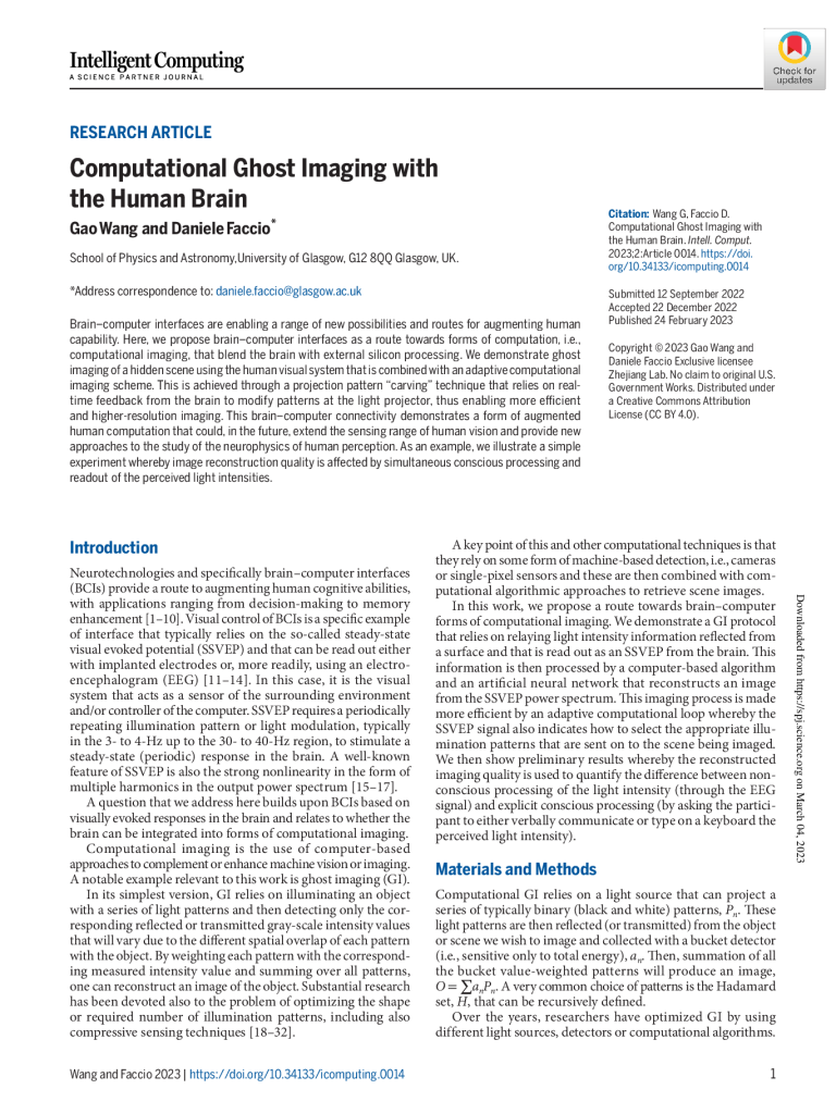 Computational ghost imaging with the human brain