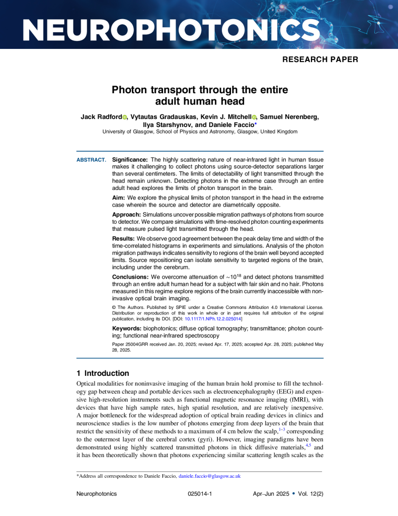 Photon transport through the entire adult human head