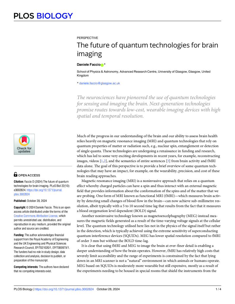 The future of quantum technologies for brain imaging