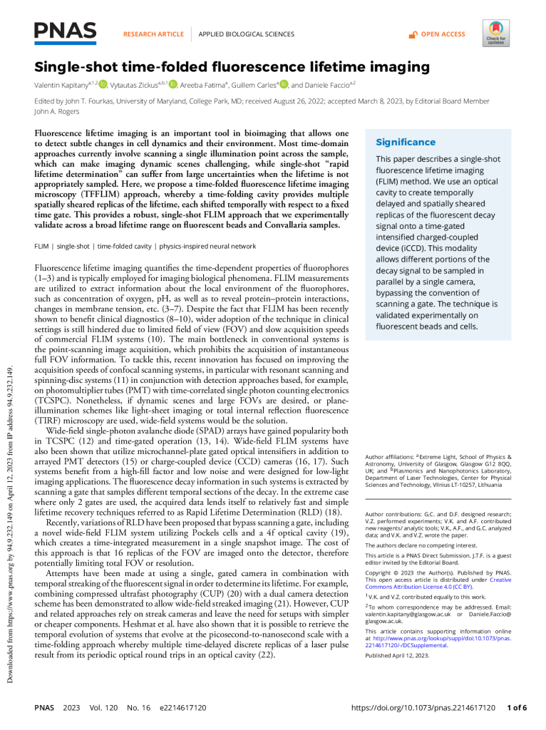 Single-shot time-folded fluorescence lifetime imaging