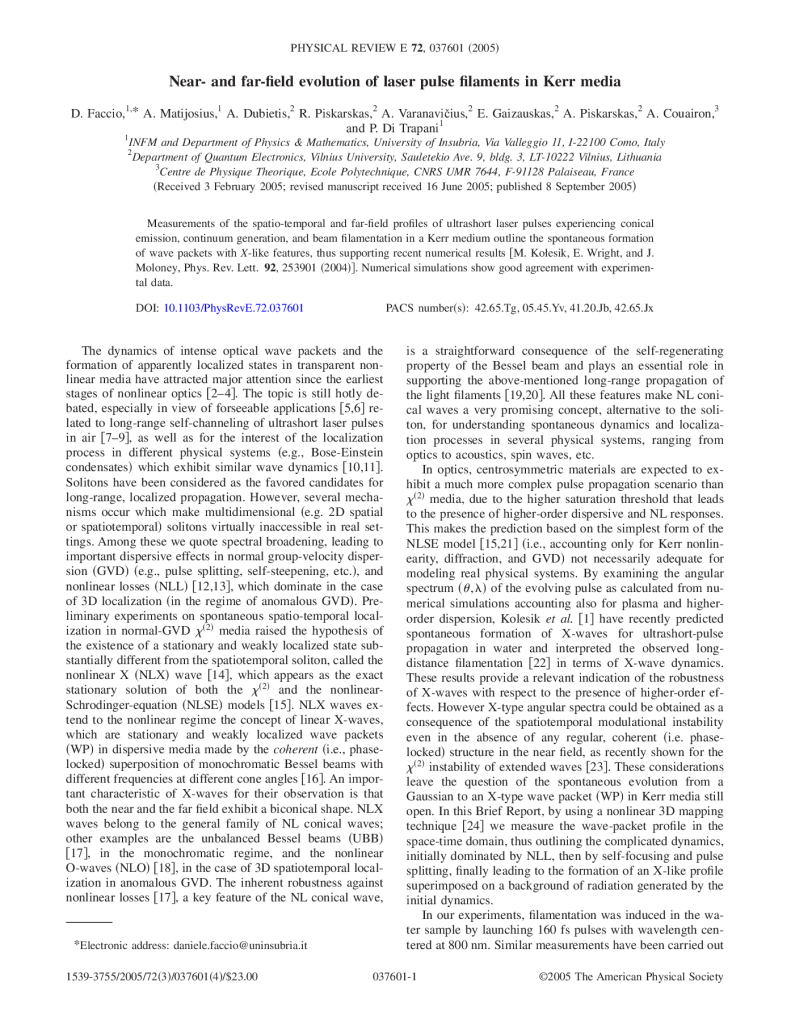 Near and Far-Field evolution of laser pulse filaments in Kerr media