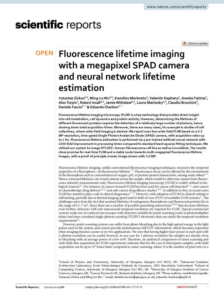 Wide-field Fluorescence Lifetime Imaging Microscopy with a High-Speed Mega-pixel SPAD Camera