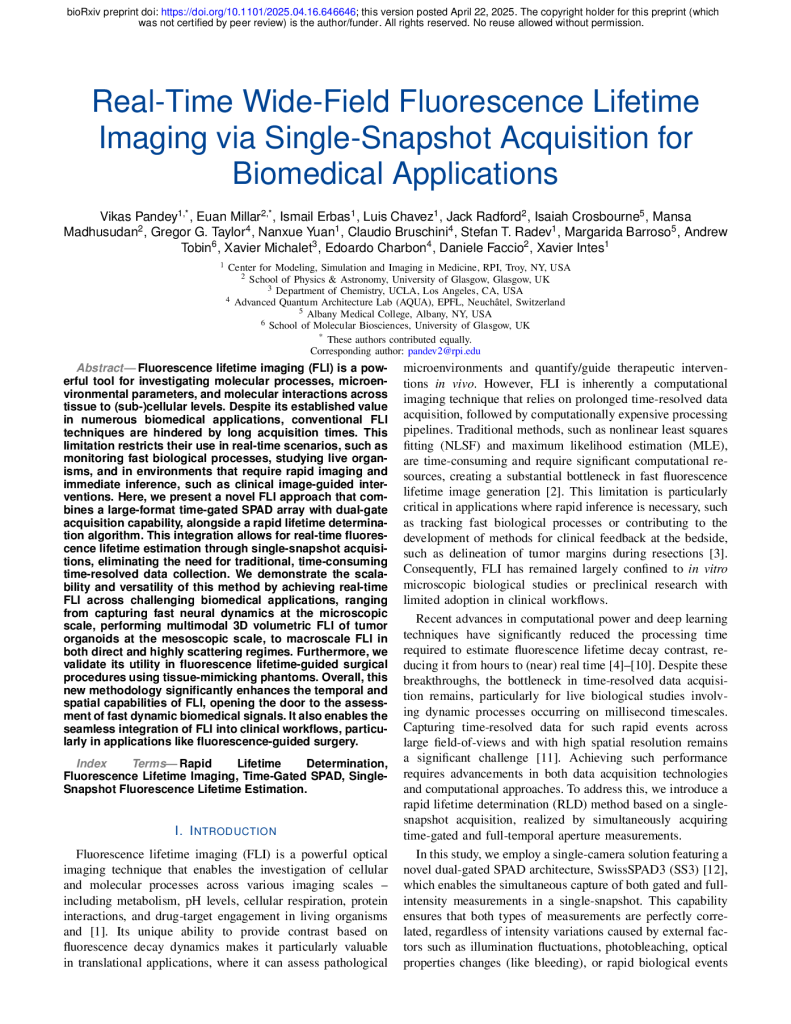 Real-Time Wide-Field Fluorescence Lifetime Imaging via Single-Snapshot Acquisition for Biomedical Applications