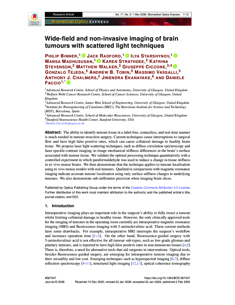 Wide-field and non-invasive imaging of brain tumours with scattered light techniques